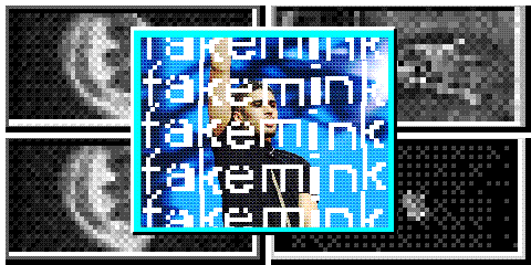 fakemink Deserves the Hype