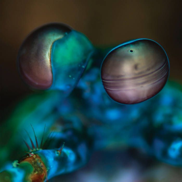 Amasia: Anamibia Sessions 2